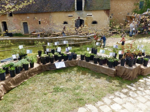Fête des Plantes, Bellou le Trichard