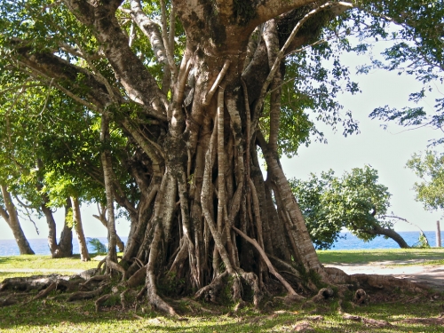 Nouvelle Calédonie, Nouméa, 2004, Centre J M Tjibaou