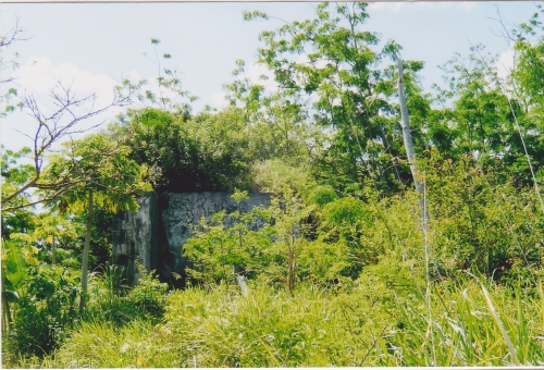 Nouvelle Calédonie, Nouméa, 2004, l'île des Pins