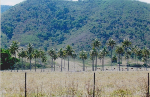 Nouvelle Calédonie, Nouméa, 2004 : La Foa, Farino, Sarraméa, Bourail