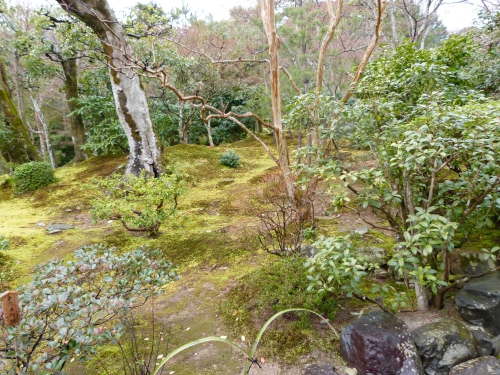 Arashiyama,Tenryu-ji
