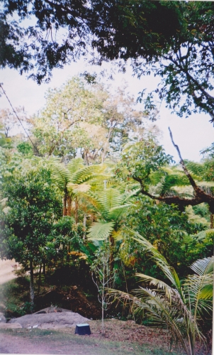 Nouvelle Calédonie, Nouméa, 2004 : La Foa, Farino, Sarraméa, Bourail