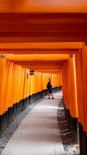 Fushimi Inari Taisha,Kyoto,Torii,