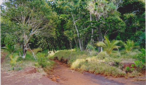 Nouvelle Calédonie, Nouméa, 2004 : Prony, le Grand Sud