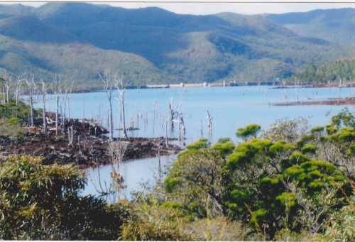 Nouvelle Calédonie, Nouméa, 2004 : Yaté, la Rivière bleue