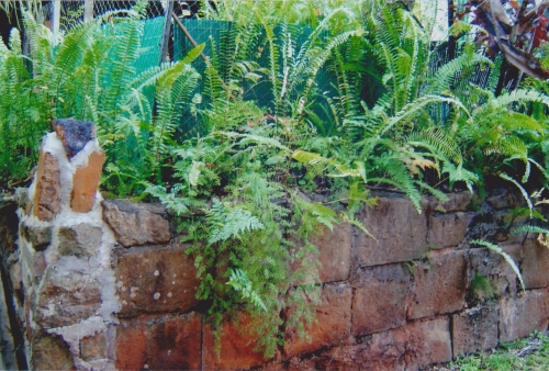 Nouvelle Calédonie, Nouméa, 2004 : Prony, le Grand Sud