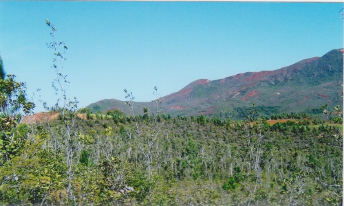 Nouvelle Calédonie, Nouméa, 2004 : Yaté, la Rivière bleue