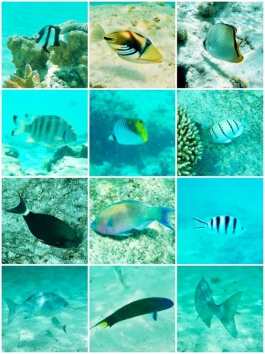 Nouvelle Calédonie, Nouméa, 2004, l'île des Pins