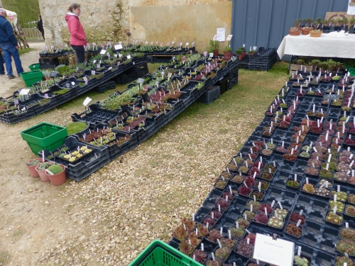 Fête des Plantes, Bellou le Trichard