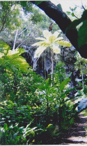 Nouvelle Calédonie, Nouméa, 2004, l'île des Pins