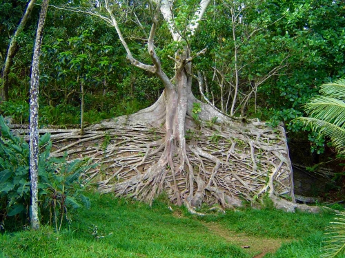 Nouvelle Calédonie, Nouméa, 2004 : Prony, le Grand Sud