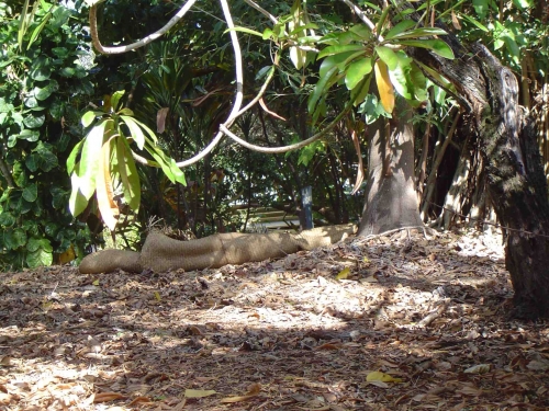 Nouvelle Calédonie, Nouméa, 2004, Centre J M Tjibaou