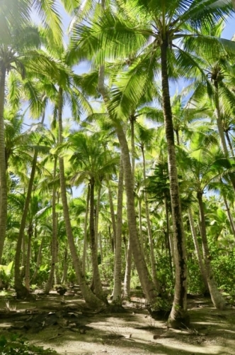 Nouvelle Calédonie, Nouméa, 2004, l'île des Pins