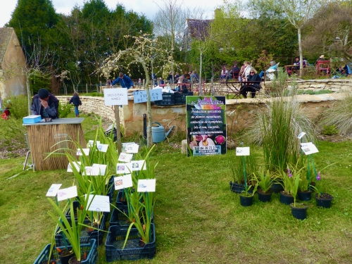 Fête des Plantes, Bellou le Trichard
