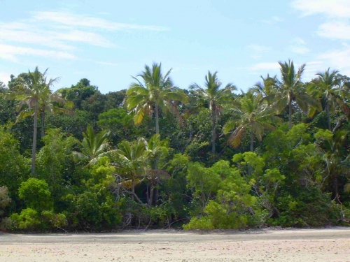 Nouvelle Calédonie, Nouméa, 2004, l'île des Pins