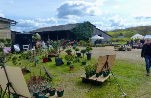 Fête des Plantes, Bellou le Trichard