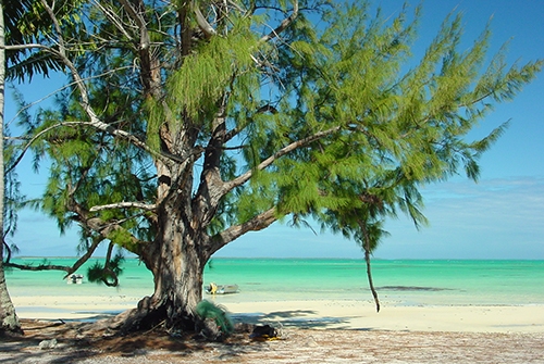 Nouvelle Calédonie, Nouméa, 2004, Centre J M Tjibaou