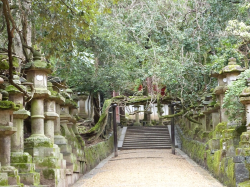 Japon, Uji, Kasuga,sanctuaire
