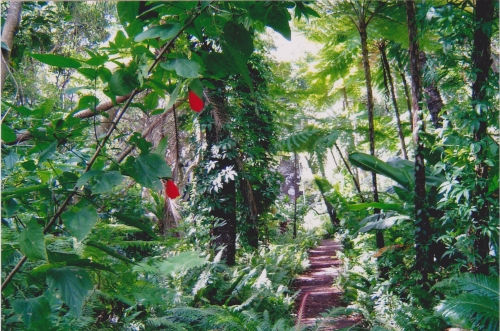 Nouvelle Calédonie, Nouméa, 2004, l'île des Pins