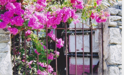 Nouvelle Calédonie, Nouméa, 2004, l'île des Pins