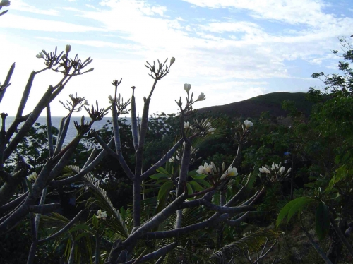 Nouvelle Calédonie, Nouméa, 2004