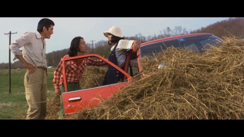 Film, Japon, Yamada Yoji, Hokkaïdo, voyage