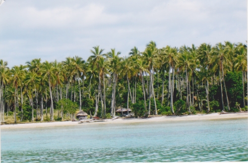 Nouvelle Calédonie, Nouméa, 2004, l'île des Pins